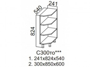 С300то Стол-рабочий 300 (торцевой открытый) в Волчанске - volchansk.magazin-mebel74.ru | фото