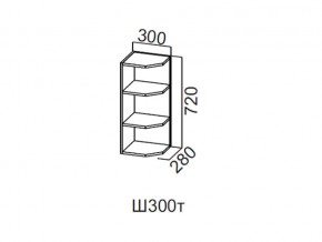 Ш300т/720 Шкаф навесной 300/720 (торцевой) в Волчанске - volchansk.magazin-mebel74.ru | фото