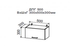 Шкаф верхний ДПГ500 горизонтальный в Волчанске - volchansk.magazin-mebel74.ru | фото
