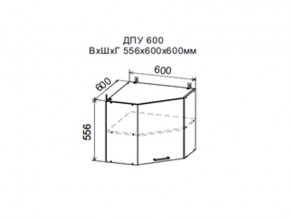 Шкаф верхний ДПУ600 угловой в Волчанске - volchansk.magazin-mebel74.ru | фото